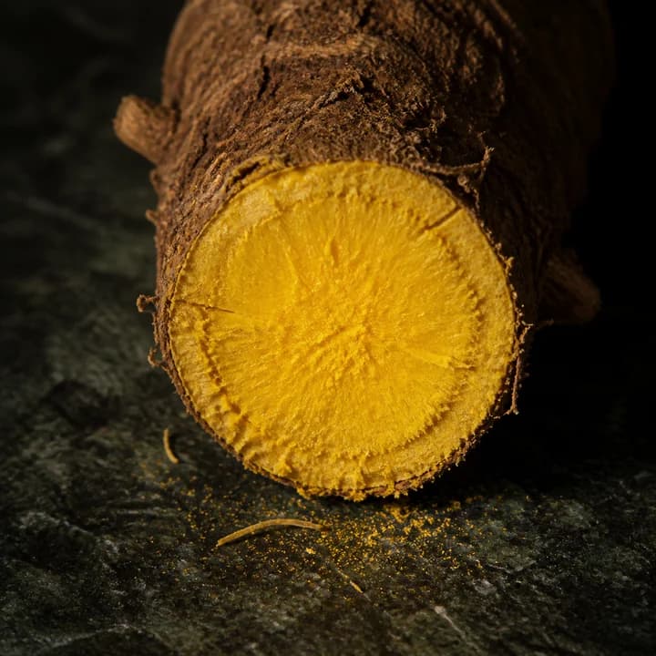 A cut barberry root with an intense yellow core