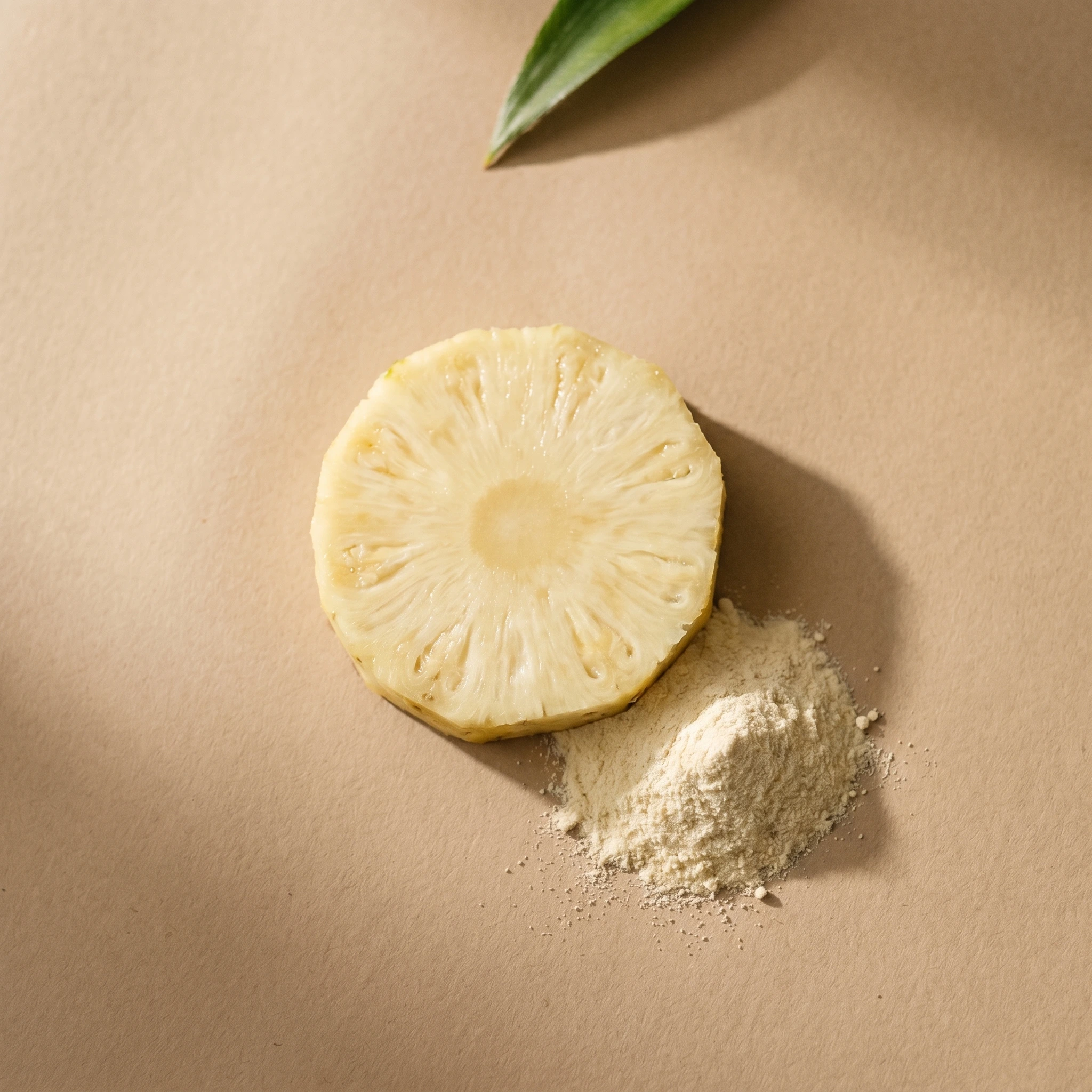 Bromelain — Pineapple + enzyme powder