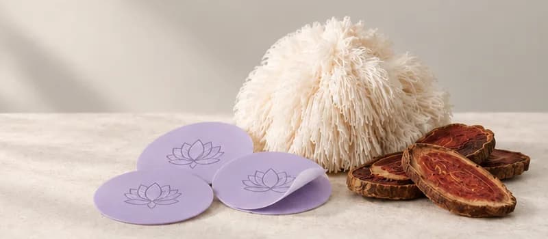 Lion's mane and NAC patches